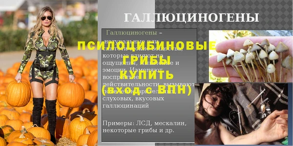 первитин Белокуриха