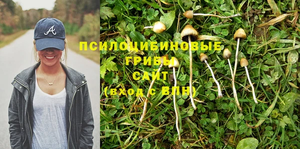 гашик Магадан