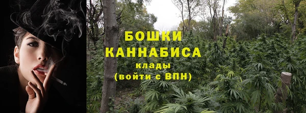 первитин Белокуриха