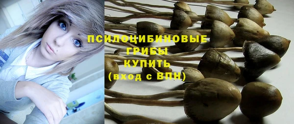 первитин Белокуриха